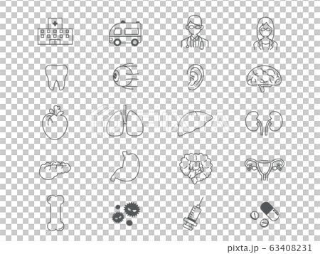 医療イラスト 臓器内臓アイコンセット 医療イラスト 臓器内臓アイコンセット 63408231
