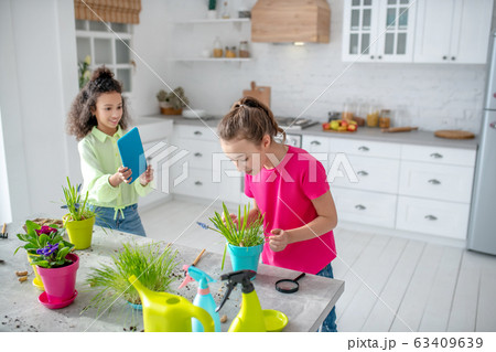 Two girls standing in a bright kitchen. 63409639