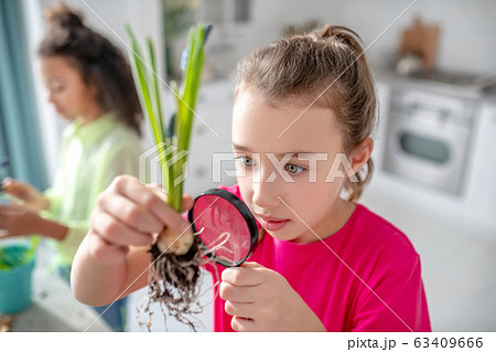 Girl with a magnifying glass in hand examining a flower root. 63409666