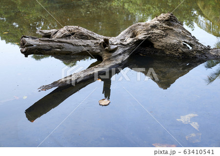 Beautiful lanscape nature in Thailand 63410541