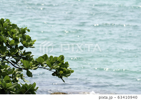 beautiful landscapes on beach in Thailand. 63410940