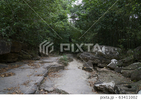 Beautiful lanscape nature in Thailand 63411002