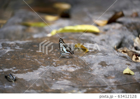 Beautiful lanscape nature in Thailand 63412128