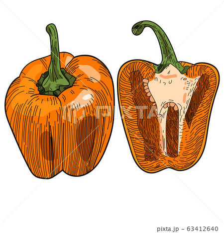 Whole yellow bell pepper bulgarian with half isolated on white background. Whole yellow bell pepper bulgarian with half isolated on white background. 63412640