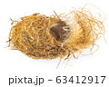 Bird nest 63412917