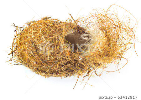 Bird nest 63412917