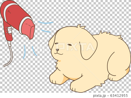 ゴールデンレトリバーの子犬（ドライヤー） 63412955