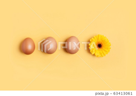 Spring and easter concept. A row of brown eggs and a yellow flower Spring and easter concept. A row of brown eggs and a yellow flower 63413061