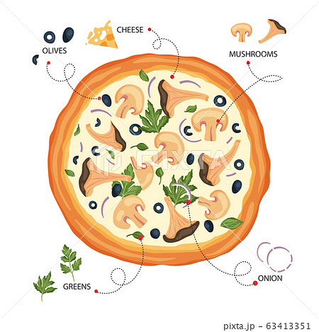 Italian cheese mushroom pizza vector. 63413351