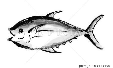 線画 白黒 モノクロ 単色 マグロ 鮪 まぐろ 魚 魚類 ベクター キハダマグロ 黄肌マグロ のイラスト素材