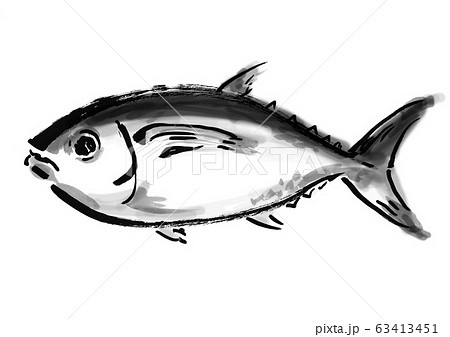線画 白黒 モノクロ 単色 マグロ 鮪 まぐろ 魚 魚類 ベクター バチマグロ メバチまぐろ のイラスト素材