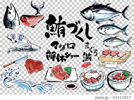 セット　品種　種類　集合　マグロ、まぐろ、鮪、鮪づくし、ベクター、マグロ解体ショー 63413457