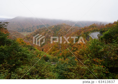国道352号枝折峠の銀山平側に下ったところの紅葉 銀山平方面 国道352号枝折峠の銀山平側に下ったところの紅葉 銀山平方面 63413637