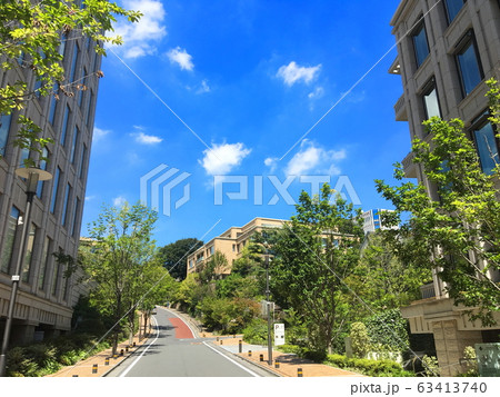 真夏の風景　御殿山 63413740