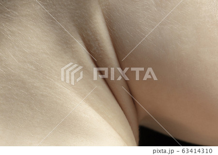 Texture of human skin. Close up of well-kept caucasian human body 63414310