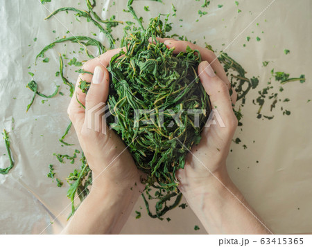 Manual production Koporye Tea - Ivan tea 63415365