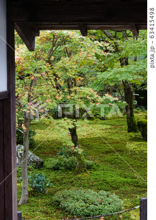 圓光寺の庭 圓光寺の庭 63415498