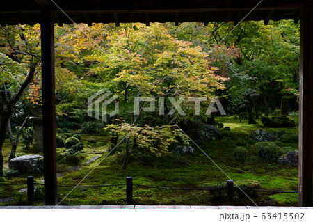 圓光寺十牛之庭 圓光寺十牛之庭 63415502
