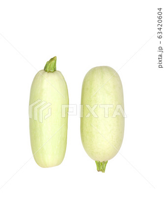 Zucchini isolated. Zucchini isolated white Zucchini isolated. Zucchini isolated white 63420604