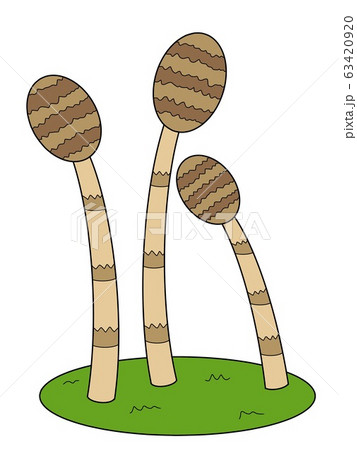 つくし つくし 63420920