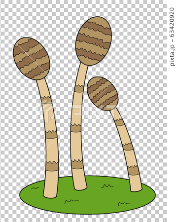 つくし つくし 63420920