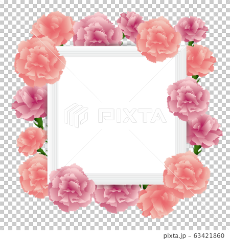 Carnation frame background - Stock Illustration [63421860] - PIXTA
