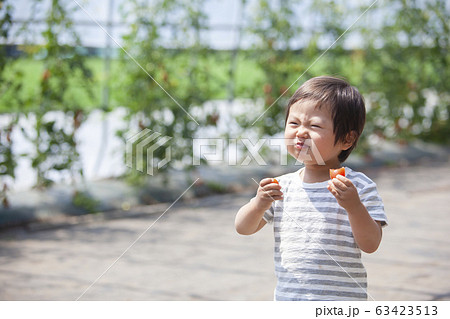 トマトを食べる男の子 トマトを食べる男の子 63423513