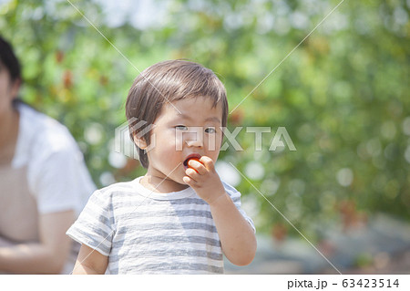 トマトを食べる男の子 トマトを食べる男の子 63423514