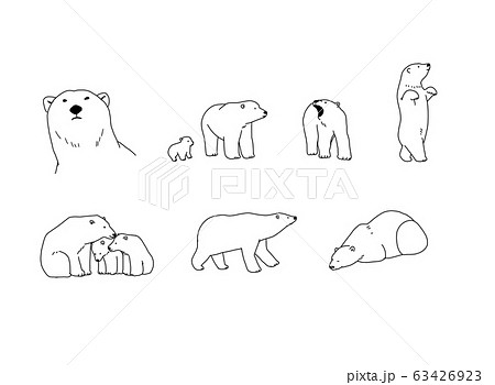 シロクマ 線画 シロクマ 線画 63426923