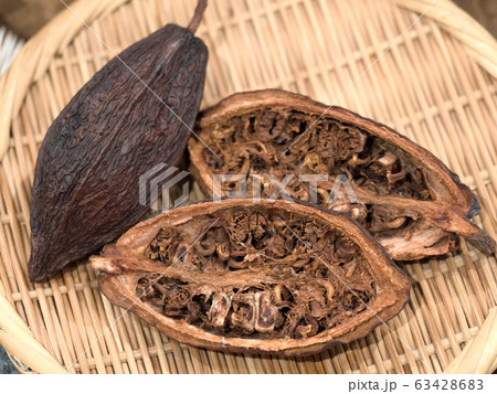カカオの実 カカオの実 63428683