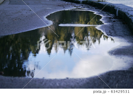 水たまりから見える自然の写真素材 [63429531] - PIXTA