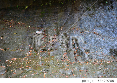 チバニアン地層 チバニアン地層 63429780