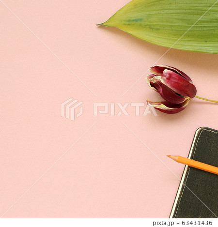 Dry tulip flower and diary note on pink background. Floral composition, flat lay, top view, copy space Dry tulip flower and diary note on pink background. Floral composition, flat lay, top view, copy space 63431436