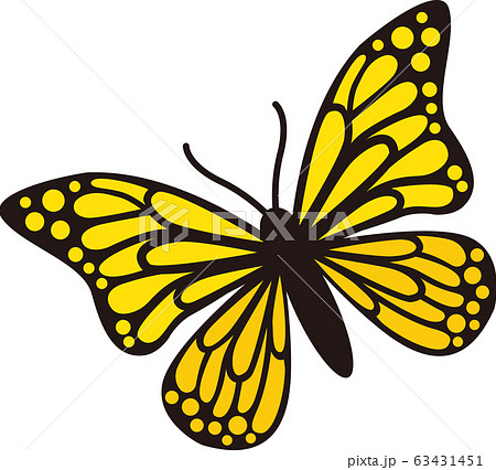 蝶黄色のイラスト素材