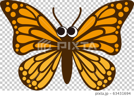 蝶目つき 蝶目つき 63431694