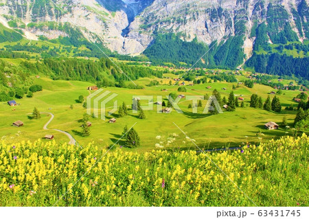 スイスの山にある村 63431745