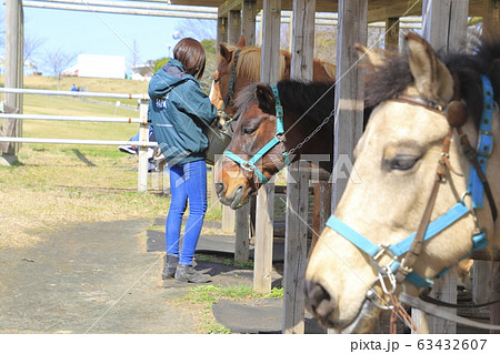 マザー牧場　うまの牧場 63432607