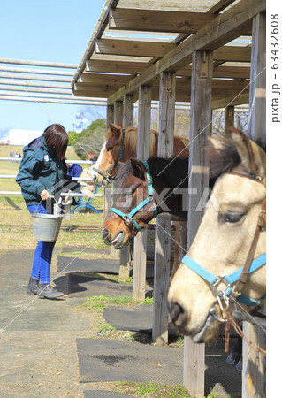 マザー牧場 うまの牧場 マザー牧場 うまの牧場 63432608