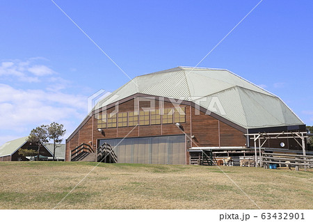 マザー牧場　みどりの広場とアグロドーム 63432901