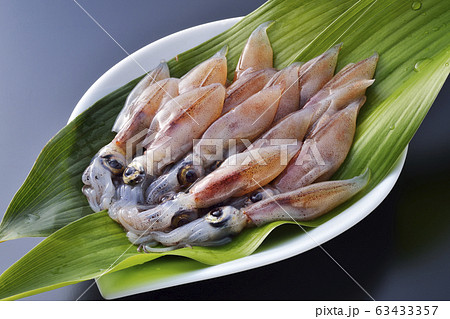 生ホタルイカ 63433357