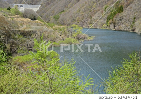 日光川治五十里湖と芽吹きの木々 日光川治五十里湖と芽吹きの木々 63434751
