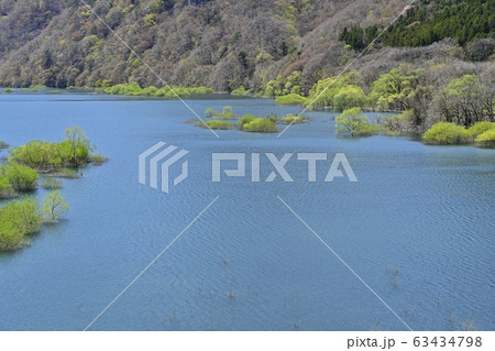 日光川治五十里湖と芽吹きの木々 63434798