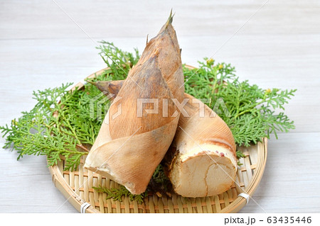 注意）背景に汚れや小キズが残ります。春の食材、筍、たけのこ、竹の子、タケノコ。 63435446