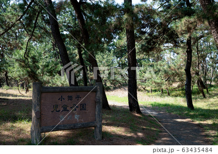 松林 松(石川県白山市小舞子) 松林 松(石川県白山市小舞子) 63435484