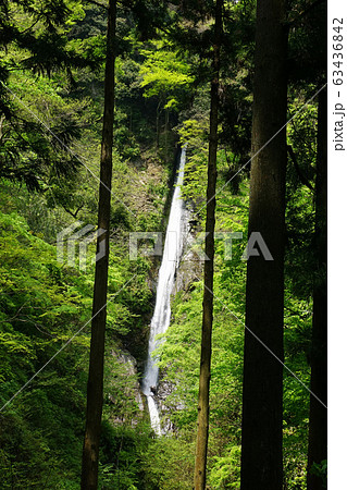 洒水の滝 63436842