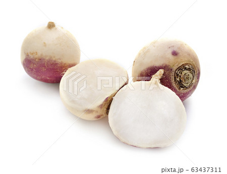 turnip in studio 63437311