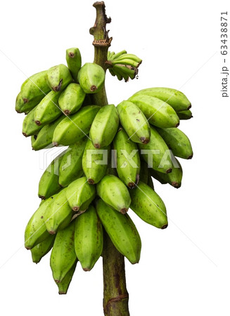 Green banana bunch isolated on white background. Green banana bunch isolated on white background. 63438871