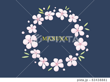 Manuka Flowersのイラスト素材