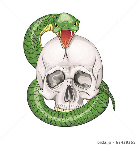 Hand Drawn Human Skull Entwined By Snake Stock Illustration