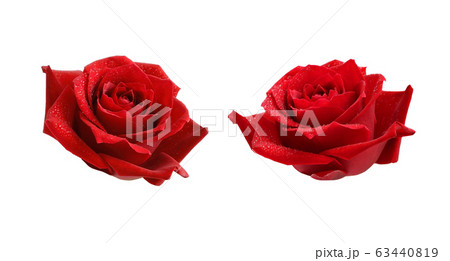 Set of red rose flowers with drops Set of red rose flowers with drops 63440819